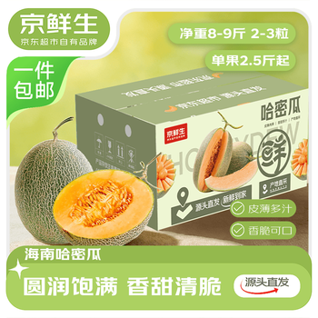 京鲜生 海南西州蜜哈密瓜25号 净重8-9斤 2-3粒彩箱 单果2.5斤 源头直发