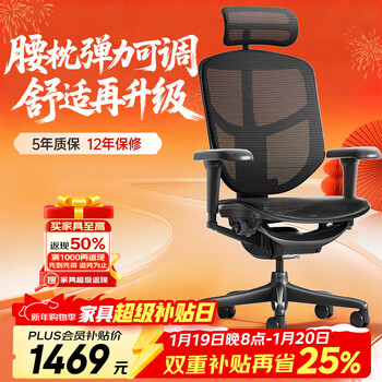 Ergonor保友金卓雄鹰 人体工学椅  高性价比电脑椅家用办公椅游戏电竞椅 【金卓雄鹰X】黑色网(尼龙椅脚) 久坐不易累