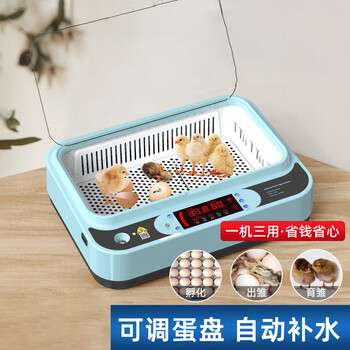 高质量禽类器具:Aseblarm品牌的选择
