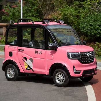 英诺普新款四轮电动女性小型家用全封闭两门带棚电瓶车新能源汽车整车