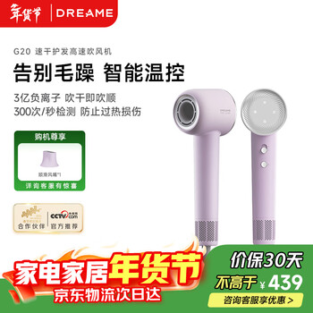 追觅韶光G20家用电吹风恒温速干吹风筒负离子高速护发无叶吹风机 丁香紫AHD12B 情人节送礼礼物