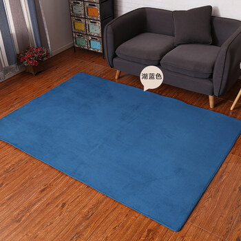 欧式珊瑚绒地毯客厅沙发毯卧室房间床边满铺地毯榻榻米飘窗垫 湖蓝色