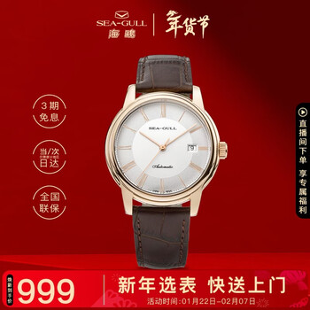 海鸥（SEAGULL）手表男士自动机械表 国民日历男士手表 生日礼物男表D519.405