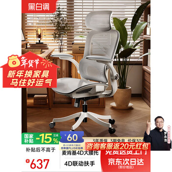 黑白调P2Pro二代人体工学椅电脑椅护腰办公椅人工力学座椅电竞椅4D腰托 P2Pro二代霜白 4D腰托+3D颈枕