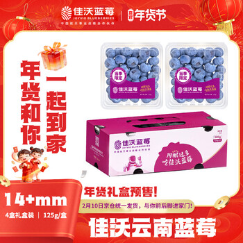 佳沃（JOYVIO）云南蓝莓 14mm+ 4盒装 约125g/盒 新鲜水果年货礼盒