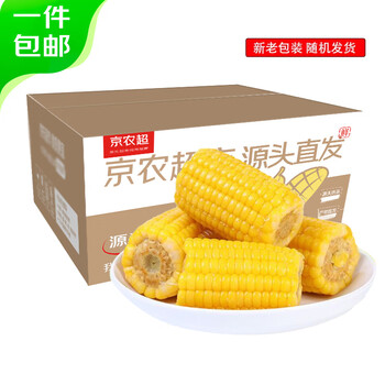 京农超东北黑玉米 香糯甜玉米棒 真空包装 早餐粗粮苞米棒黏粘甜糯玉米 黄糯玉米段 200g*10棒