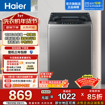 海尔（Haier）波轮洗衣机全自动家用 12公斤 大容量洗脱一体机 以旧换新 除螨抗菌 去渍洗 EB120Z33Mate1
