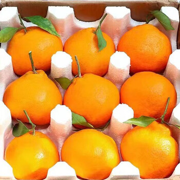 乌仙子正宗四川春见耙耙柑（拍2件合并一箱发货) 爆汁当季新鲜水果柑橘  甄选春见耙耙柑 4.5斤【80mm+】特大果