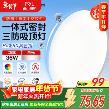 FSL佛山照明客厅吸顶灯简约现代圆形书房LED照明灯36W白光