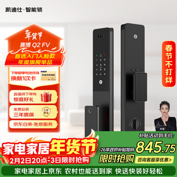 凯迪仕（KAADAS）智能门锁 人脸识别猫眼监控摄像指纹 Q2 FV