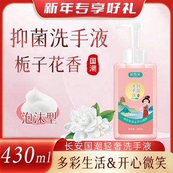 多微笑/女士泡沫专用洗手液  温和清洁不伤手 家用实惠装430ml