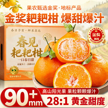 四叔公果蔬四川春见耙耙柑【闪送】粑粑柑橘子橘桔礼盒年货礼盒水果礼盒装 5斤装【80%选择-超值推荐】净4.5 【超甜】9A精选果｜单果65-75mm