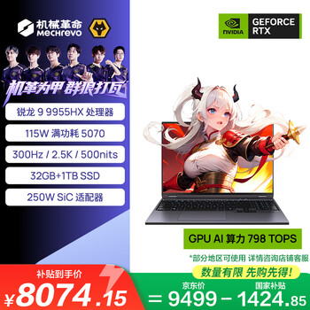 机械革命【国家补贴】蛟龙16Pro 2025 16英寸游戏电竞笔记本电脑(R9-9955HX 32G 1T RTX5070 300Hz 灰)