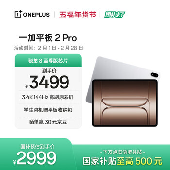 一加平板 2 Pro【国家补贴】13.2英寸平板电脑骁龙8至尊版芯片12GB+256GB 冰川银 游戏办公学生