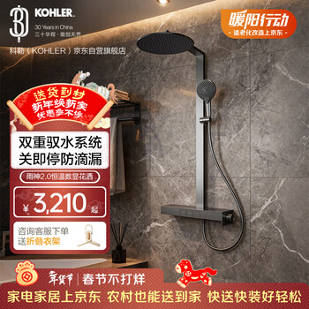 科勒（KOHLER）智能花洒淋浴套装雨神2.0恒温喷头墨影灰