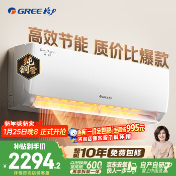 格力空调 天仪 大1匹 新一级能效变频 纯铜管卧室节能省电挂机 国家补贴 KFR-26GW/(26504)FNhAa-B1