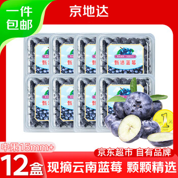 京地达云南蓝莓鲜果净含量115g*12中果15mm 新鲜水果 源头直发包邮