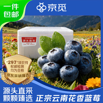 京觅云南蓝莓 12盒 中果15mm+装100g/盒  生鲜年货水果源头直发