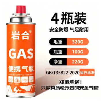 岩合卡式炉气罐通用 tj便携户外野营烧烤安全防爆气瓶 丁烷瓦斯煤气罐 220g*4瓶
