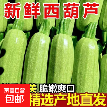 山东寿光西葫芦新鲜采摘农家自种生鲜清甜西葫芦 西葫芦带箱2斤 1.8斤