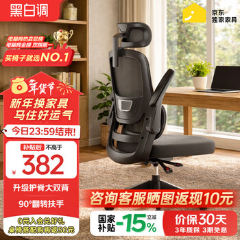 黑白调P1二代 人体工学椅电脑电竞椅子人工力学座椅办公椅 双背联动扶手