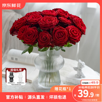 京东鲜花年宵花情人节鲜花居家装饰玫瑰20枝+赠花瓶源头直发