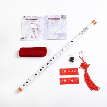 臻品（ZhenPin）精制横笛一节学生零基础初学苦竹笛子乐器 白色D调+书