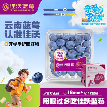 佳沃（joyvio） 云南蓝莓18mm+ 12盒原箱装 约125g/盒 新鲜水果礼盒