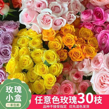与花同行20枝盲盒单头玫瑰多头高品质鲜花云南基地玫瑰真花玫瑰花基地批发 【20枝】玫瑰盲盒