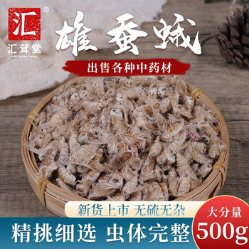 中药材滋原蚕蛾纯雄蚕蛾男未交配交尾公蚕茧蝉蛹男性原浆天然鲜活50克