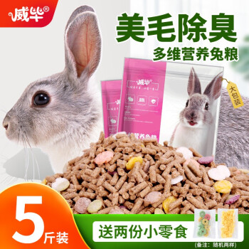 威毕品牌兔子用品推荐及价格趋势分析
