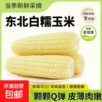 新鲜真空白糯玉米加热即食大棒东北五常甜糯玉米早餐超市直播间 真空玉米4根*200g 净重