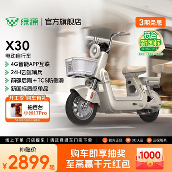 绿源【门店自提】X30 电动自行车 长续航新新国标电动车可上牌 成人通勤代步电瓶车 到门店选颜色