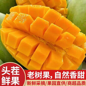 集南鲜 海南芒果 新鲜热带整箱大青皮金煌芒 当季水果青玉芒果 含箱5斤  单果250g起  净重4.5斤