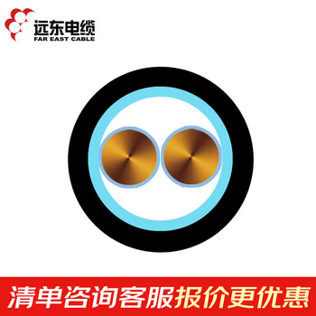 远东电缆 YJV22-2*6铜芯钢带铠装电力电缆 1米【有货期50米起订不退换】