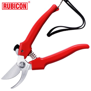 罗宾汉（RUBICON）RPS-737 专业不锈钢树枝剪园林剪刀花枝剪果木家用修枝剪园艺剪刀