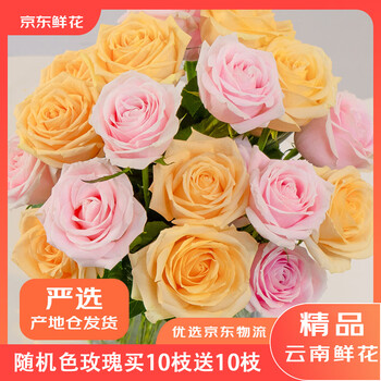 2026年8月12日更新【万能白菜价】