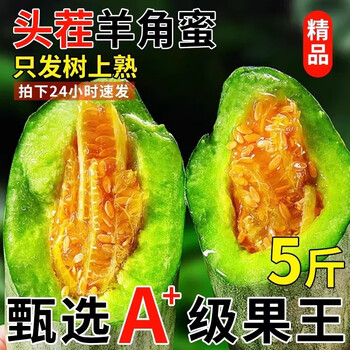 舌尖乡甜山东羊角蜜 甜瓜新鲜水果当季脆甜蜜瓜 香瓜时令羊角脆整箱 整箱5斤 单果300g 净重4.5斤
