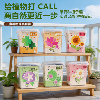 小花农儿童果蔬植物观察种植小盆栽实验套装桌面摆件幼儿园学生 种点蔬菜种点花【波斯菊】