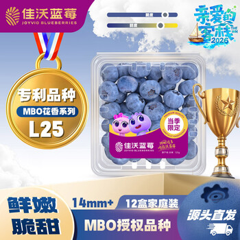 佳沃（joyvio）L25云南花香蓝莓14mm+12盒约125g/盒新鲜水果源头包邮