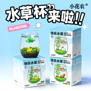 小花农水培快乐水草小清新种植杯小对叶爱情草卧室阳台办公桌摆件 快乐水草杯-爱情草(小鱼+小鸡)