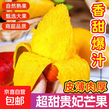 海南贵妃芒果当季孕妇水果新鲜特大果热带水果现摘包邮直发 【带箱小果2斤】单果70-100g｜新鲜采摘 香甜多汁