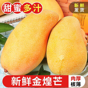 庾丰 海南金煌芒果新鲜现摘芒果孕妇水果 热带整箱当季大青皮芒果  5斤甄选装（净重4.5斤）单果200g+