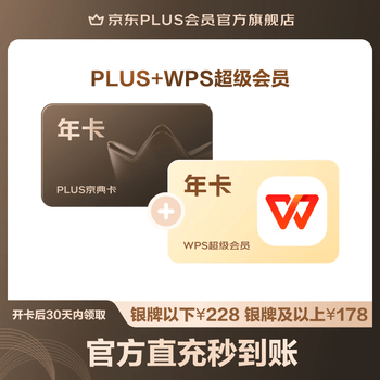 PLUS+WPS超级会员联名年卡（旗舰店）