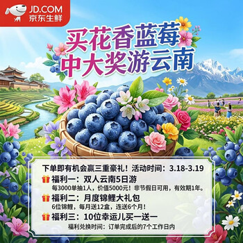 京鲜生&悦美添 真L25花香蓝莓18mm+ 12盒装 约125g/盒 专利品种源头直发