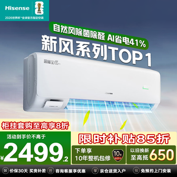 海信（Hisense）新风空调深睡宝X3Pro大1.5匹挂机双排纯铜管烘房除醛省电国家补贴冷暖变频以旧换新增氧新风AI省电 深睡宝 X3Pro 大1.5匹 新风增氧 除菌除醛