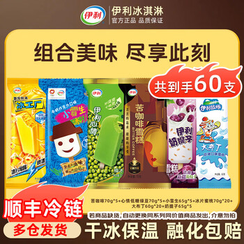 伊利 伊利冰淇淋家庭超值组合大布丁苦咖啡小雪生冰工厂组合装60支 60支