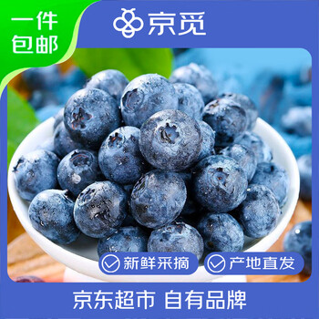 京觅云南高山蓝莓 125g*12盒单果12-14mm 生鲜水果 源头直发