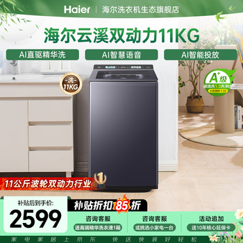 海尔（Haier）【云溪4.0】双动力防缠绕波轮洗衣机全自动 10/11公斤大容量直驱变频智慧洗 一级能效以旧换新补贴 11KG精华洗｜智能投｜语音播报｜1.3洗净比 波轮