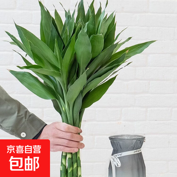 2026年4月26日更新【万能白菜价】的图片 第47张
